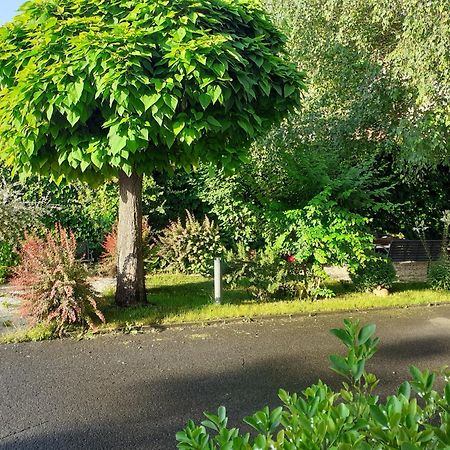Oazis Panzio Bed and Breakfast Nagykanizsa Εξωτερικό φωτογραφία