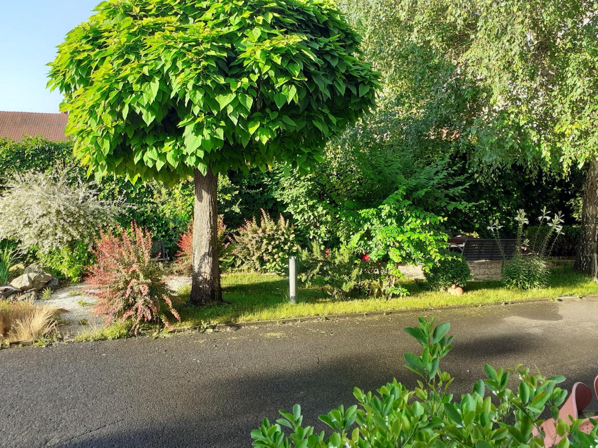 Oazis Panzio Bed and Breakfast Nagykanizsa Εξωτερικό φωτογραφία